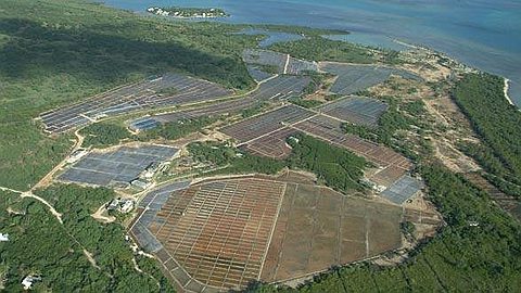 Rivière-Noire: les Salines sous la Menace d’un Développement Foncier