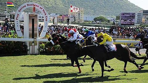 Horse Racing: Day 3rd - Solar Symbol Courage; Day 4 - Solo Traveller Wins Tactically