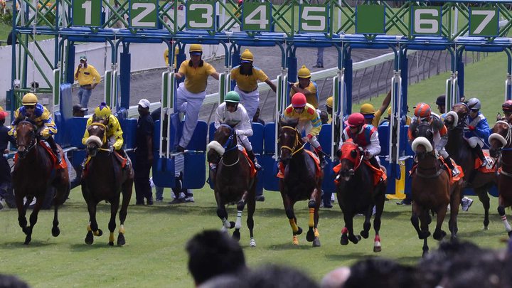 Mauritius Turf Club : l’administration volontaire
