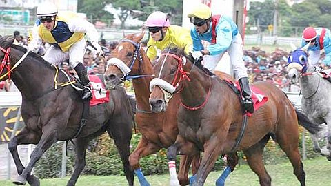 Horse Racing - Day 7: Acuppa Reverses Predictions