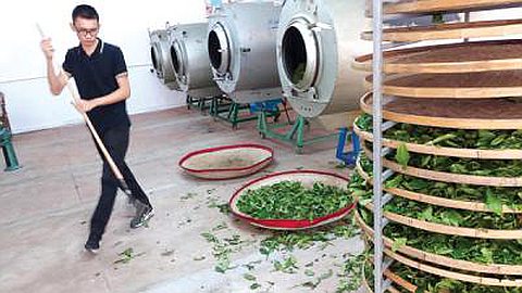  L’ancienne usine de thé de Dubreuil rouvre ses portes