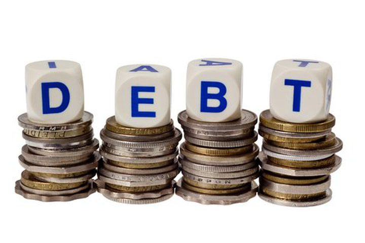Amount of debt is about Rs 20 bn