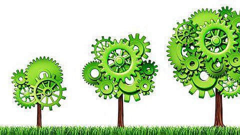 Overcoming Barriers of Growth