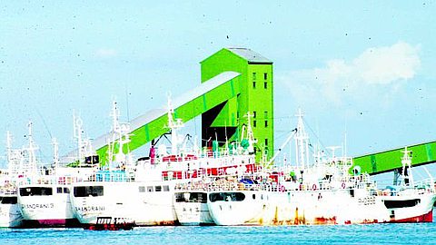 Pêche : des Bateaux Illégaux Envahissent Nos Eaux