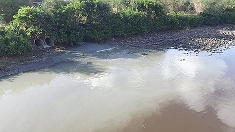 Panne d’une station d’épuration: la rivière Lataniers fait le plein d'eaux usées