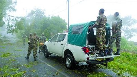 Imelda: A 20% Crops Damaged in Rodrigues