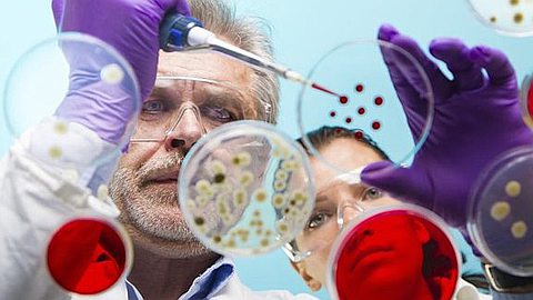 Early Signs of Ebola-Like Diseases Found