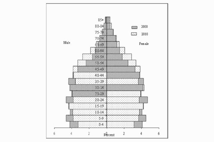Population pyramid – Republic of Mauritius, 2000 & 2010
