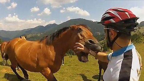 Video of the Day: Best Fails Of The Week 2 January 2013