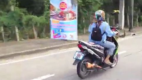 Video of the Day: Parrot Escorting its Master on Scooter