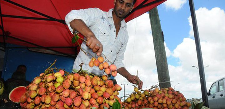 Harvest 2012: First Season Lychee for Rs 800/Kilo