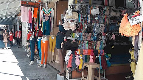 Seasonal work: employers want to employ young people aged 14 and over