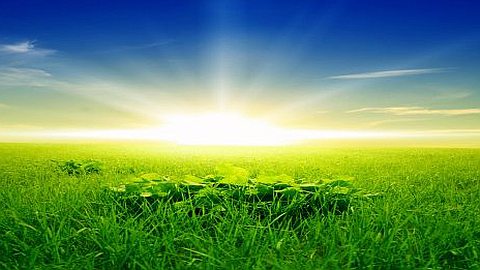 6 Simple Rituals To Reach Your Potential Every Day