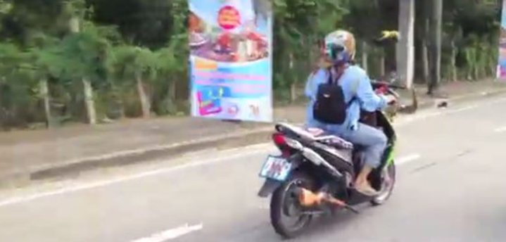 Video of the Day: Parrot Escorting its Master on S