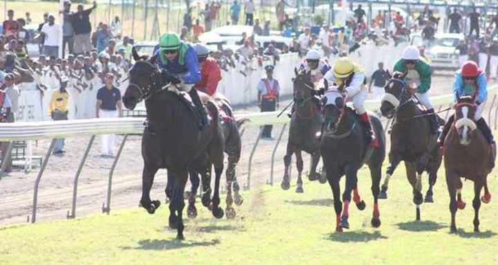 Horse Racing - 9th Day: Tales Of Bravery Wins