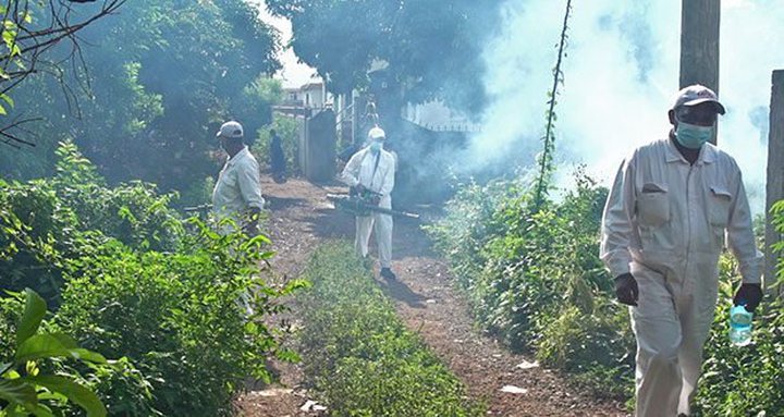Dengue: More Aggressive Campaign This Week