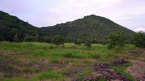 Terrains Alloués aux Coopératives: «Les Terres Inutilisées Seront Récupérées», dit Bholah