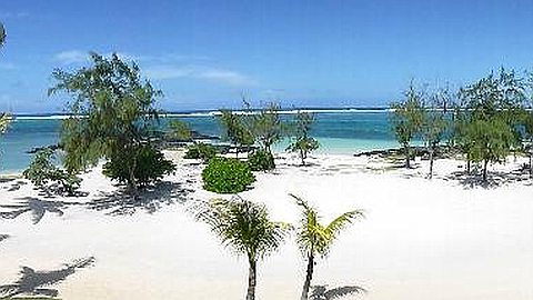 Tourism: Duval Proposes Moratorium on Hotels
Construction