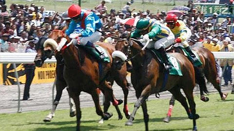 Horse Racing: Stable Gujadhur (Mobschief) Starts the Racing Season
