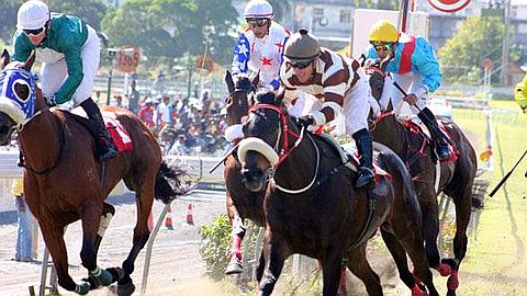 Horse Racing, 30th Day: Intercontinental Persists and Signs!