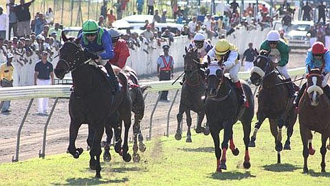 28th day: Tales Of Bravery in Search of Another Gr.1 in the Princess Margaret Cup