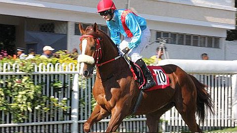 15th Day: Match Between Master Mascus and Tandragee