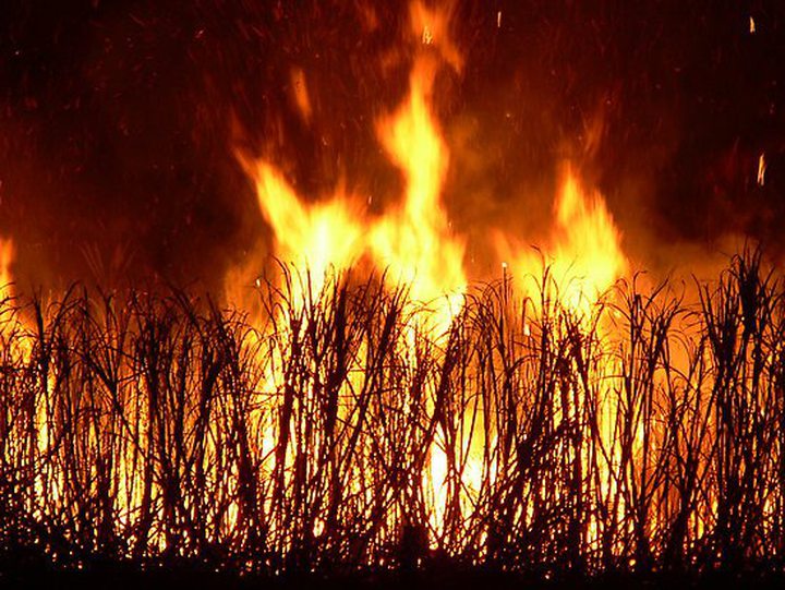 5 metre flames of sugarcane fire in the night (via PRdirect)