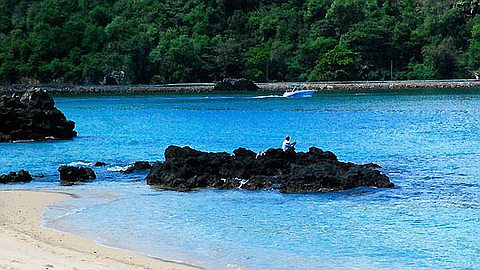 Vassen Kauppaymuthoo: "Learning the Lessons of Dodo and Ebony"