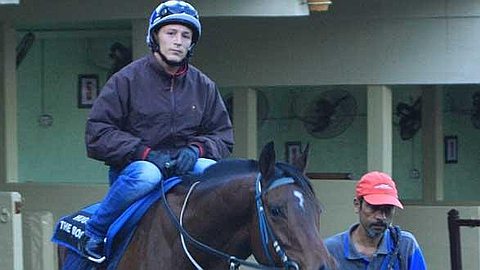 Horse Racing, 16th day: Enter Arena with Lerena and Victory