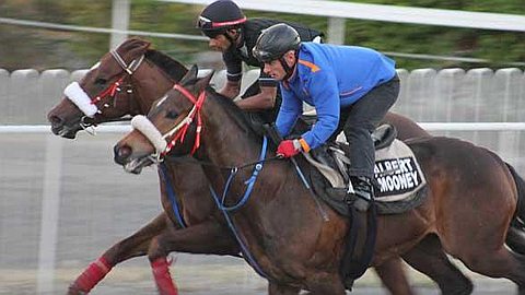 Horse Racing: 25th day: The Expected Debut of Albert Mooney