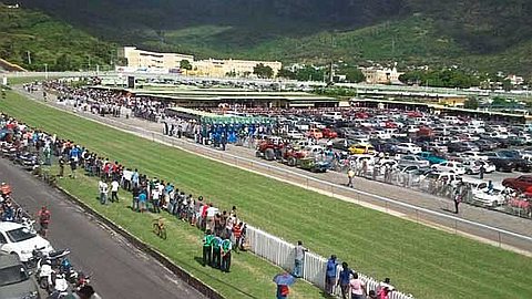 La MRA Enquête sur l’Importation de Chevaux