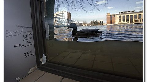 Picture of the Day: Flood in Michigan
