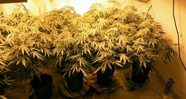 Cannabis: la Maison d’un Policier Transformée ...