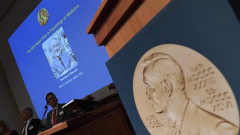 2016 Nobel Prize in physics and medicine already known