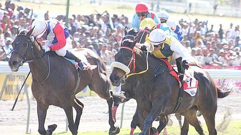 Horse Racing - 24th Day: Intercontinental Confirmed Its Return To The Forefront