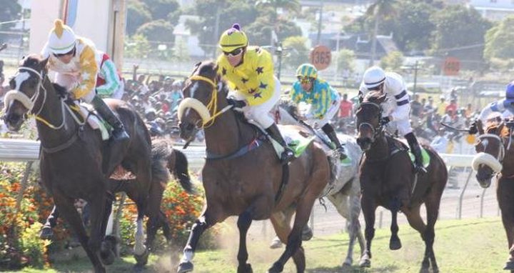 Horse Racing: Esteco Causes A...