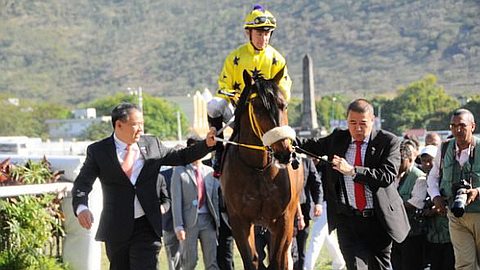 Hippisme: Ryder Cup Brille de Bout en Bout