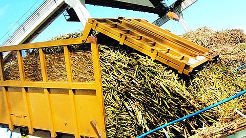 Sugar: Mauritian Expertise Wanted