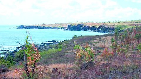 CT Power Gets Go Ahead