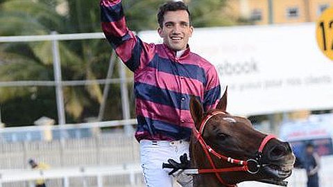 Hippisme: David «The Real Hero»