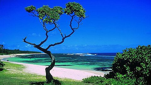 10 Reasons To Take The Family To Mauritius (According to Huffingtonpost)
