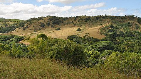 CSBO: transformer le sud en l’Ile Maurice Authentique