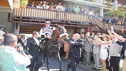 Hippisme : Intercontinental Enlève le Maiden en Temps Record