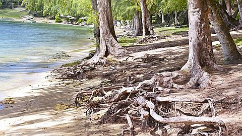 New Look of Beaches: Final Phase in the North