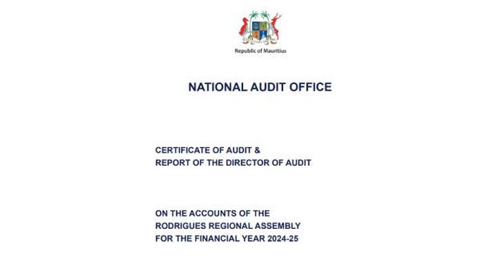 Audit report 2024/2025: Discover the full document