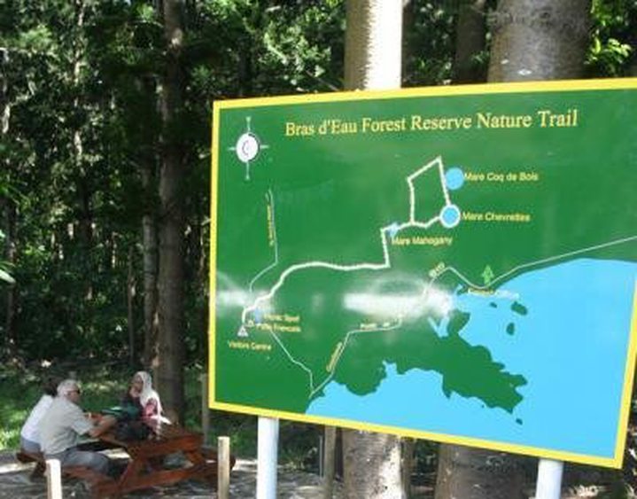 File:Bras d'Eau Forest Nursery - Bras DEau National Park.jpg