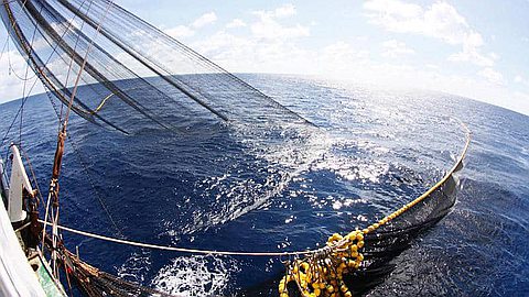 Commission thonnière: offensive pour faire expulser les Britanniques