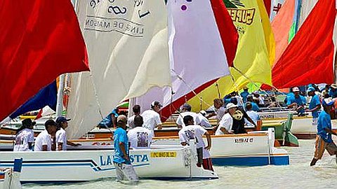 Sorties du Dimanche : Régate, Concert et Indexpo au Programme de ce 5 Août