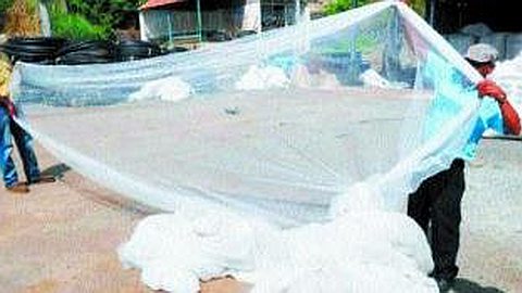 Les Cultivateurs Paieront Seulement 25%