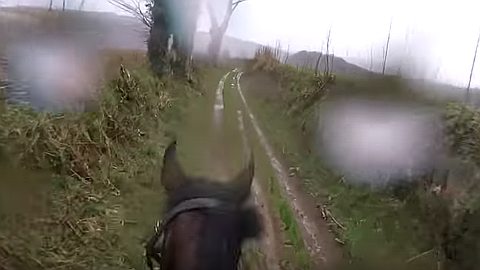 Man instantly regrets taking retired racehorse for gentle countryside trot